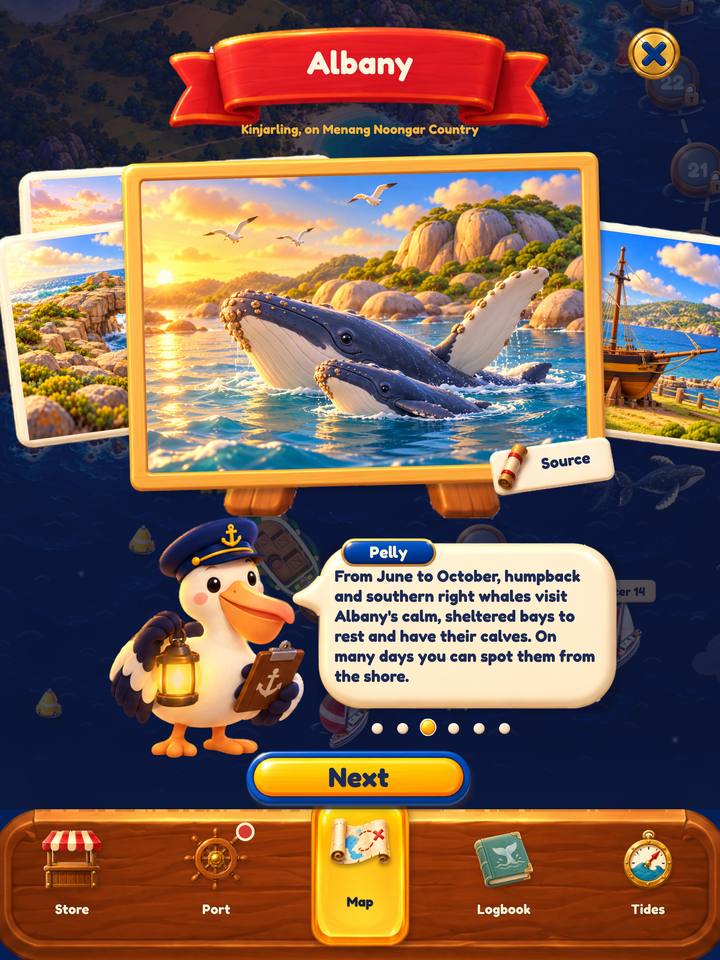 In the game: Albany's story. Beside a painting of whales in a sunny bay, Pelly says that from June to October, humpback and southern right whales visit Albany's calm, sheltered bays to rest and have their calves.